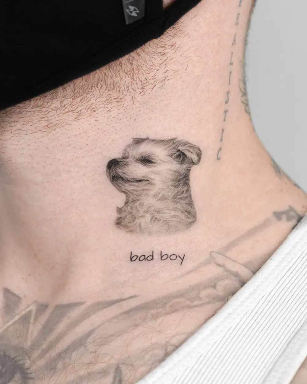 Animal