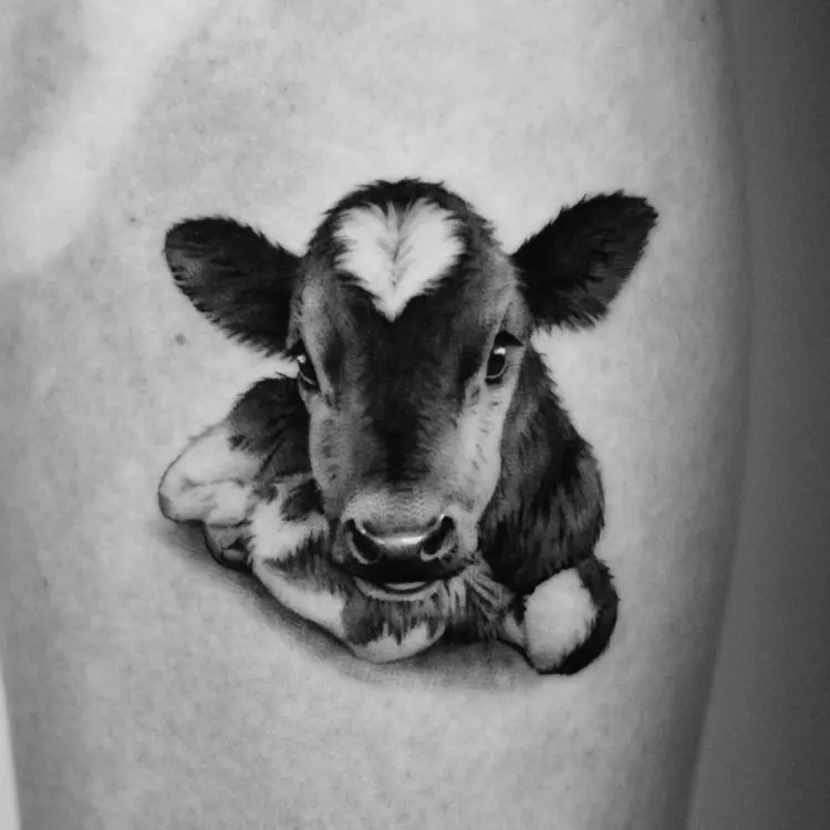 Animal