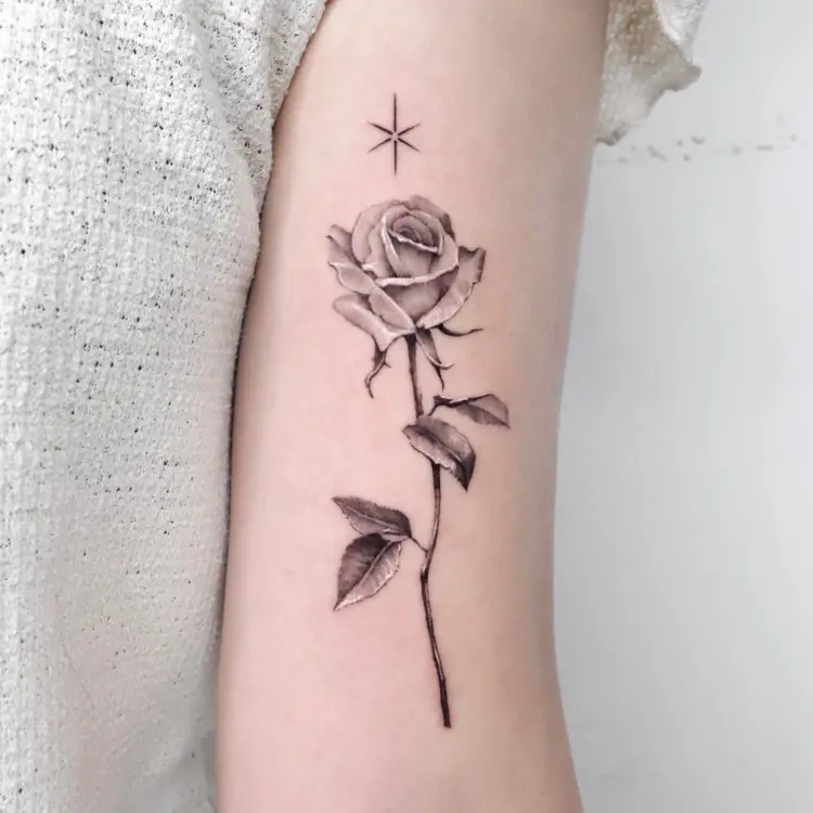 Rose, Flower