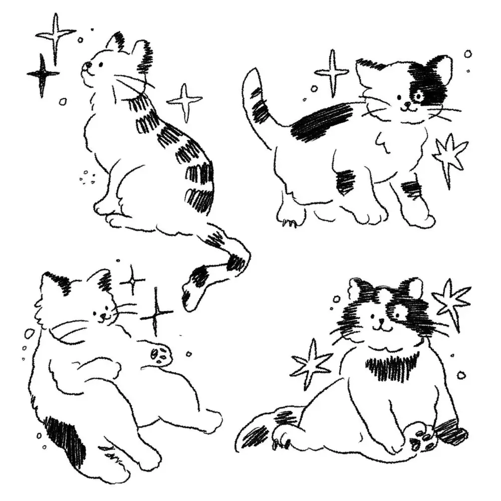 Animal