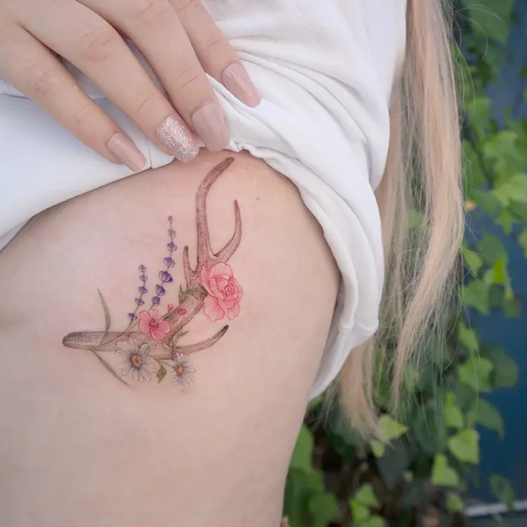 Nature, Flower, Animal, Rose