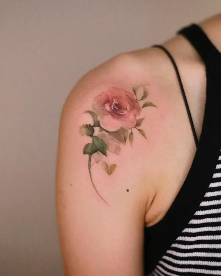 Flower, Rose