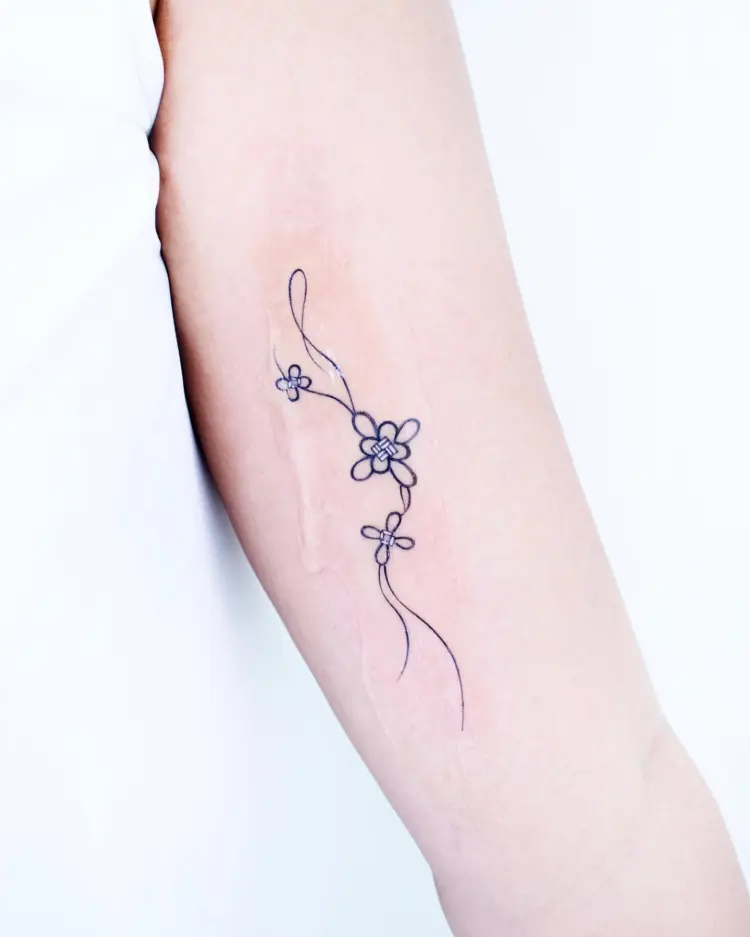 Flower, Nature