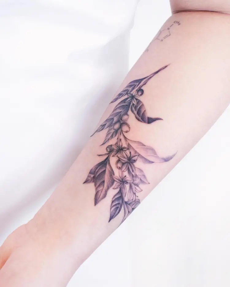 Flower, Nature