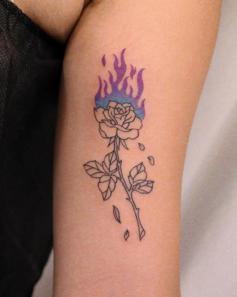 Flower, Rose