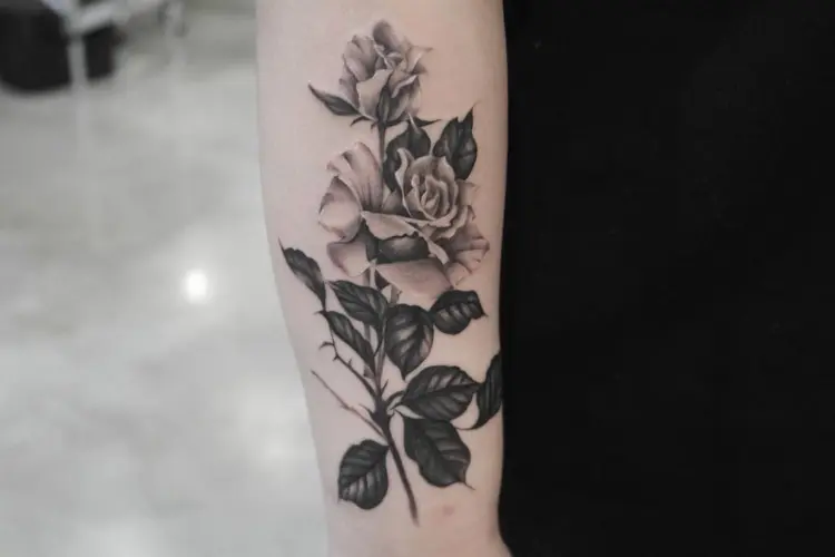 Rose, Flower