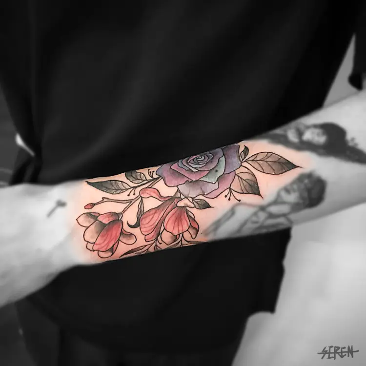 Nature, Flower, Rose