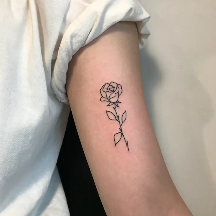 Flower, Rose