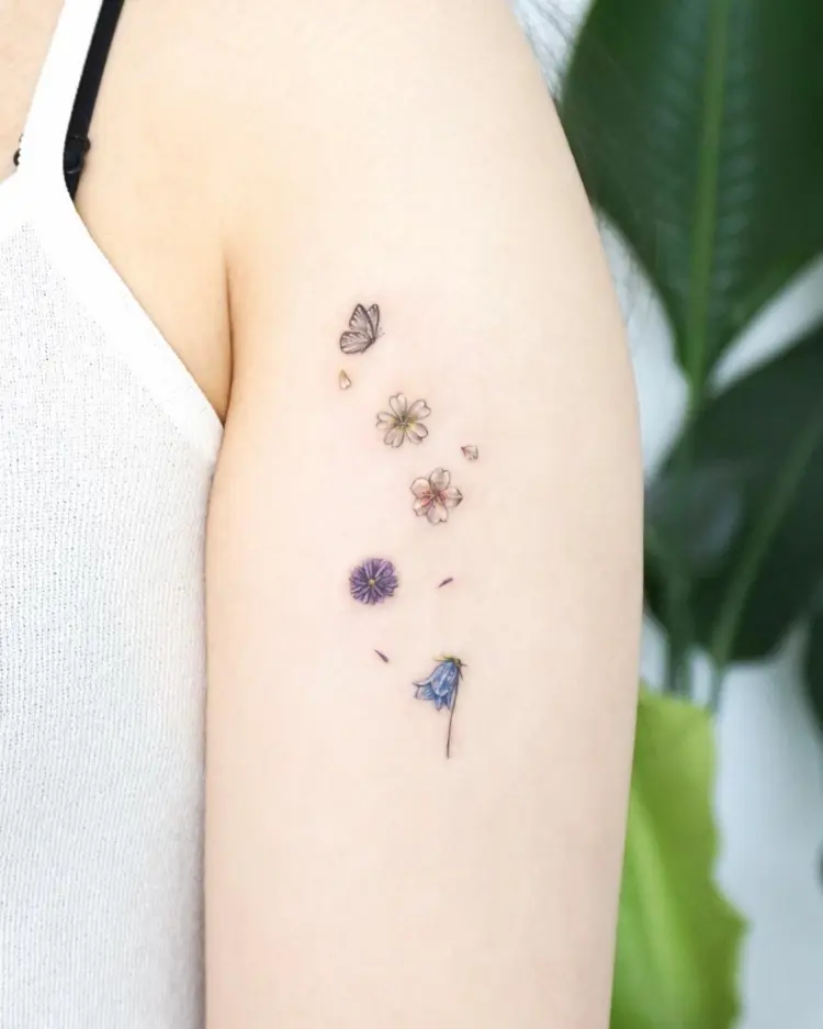 Flower, Nature