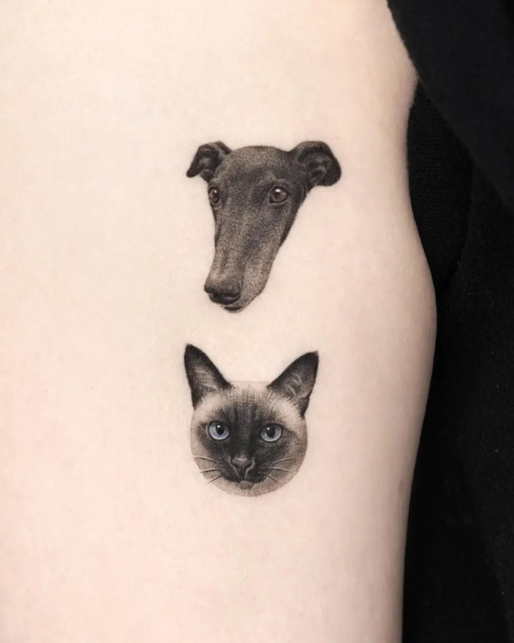 Animal