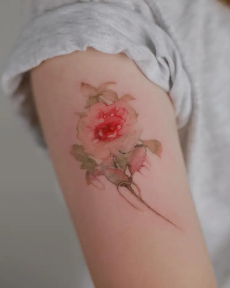 Flower, Rose