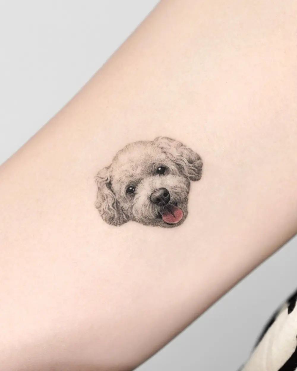 Mini, Animal