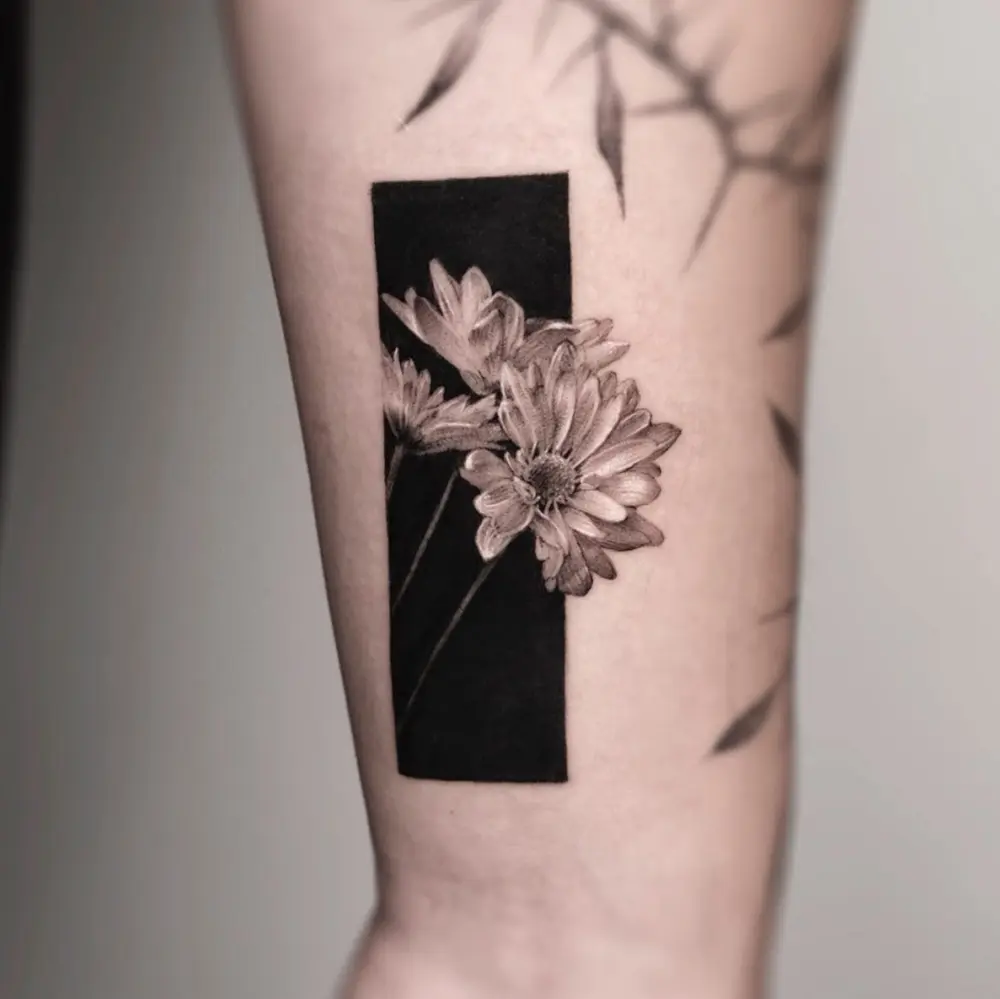 Nature, Flower
