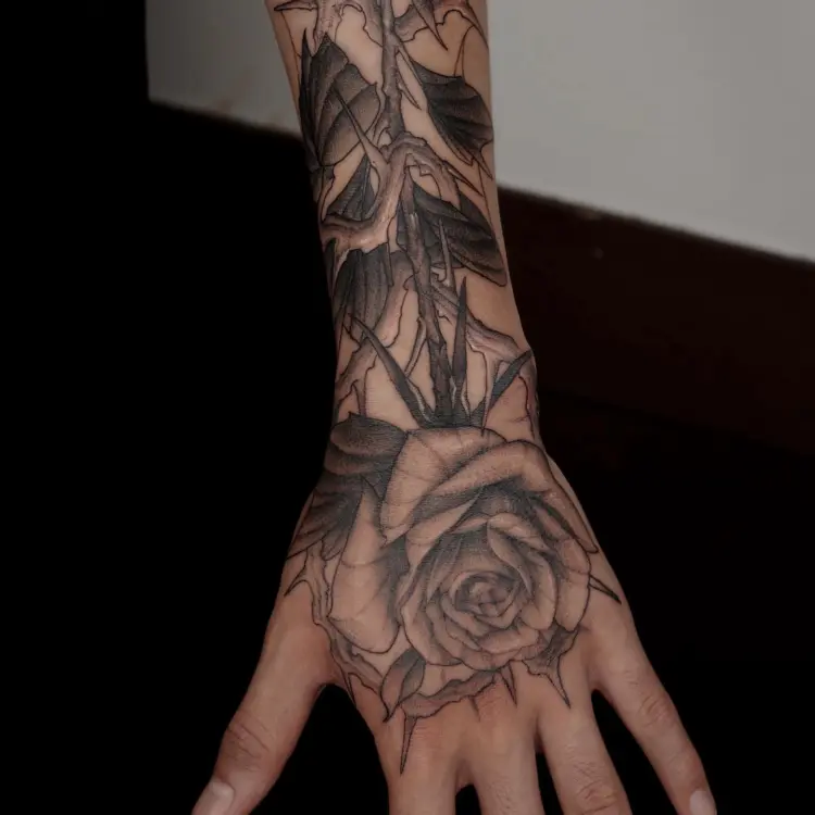 Flower, Nature, Rose