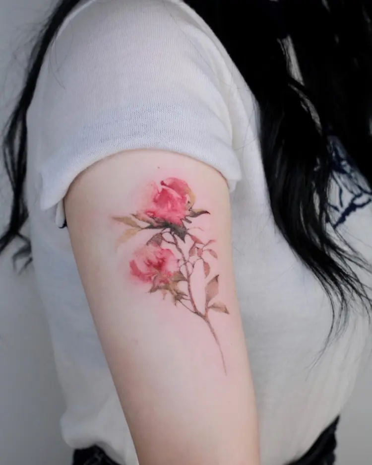 Flower, Nature, Rose