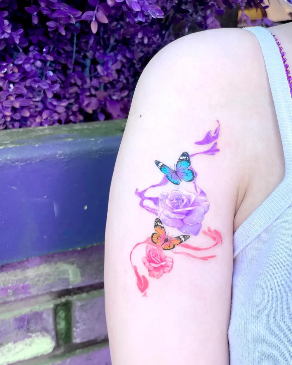 Flower, Rose, Nature