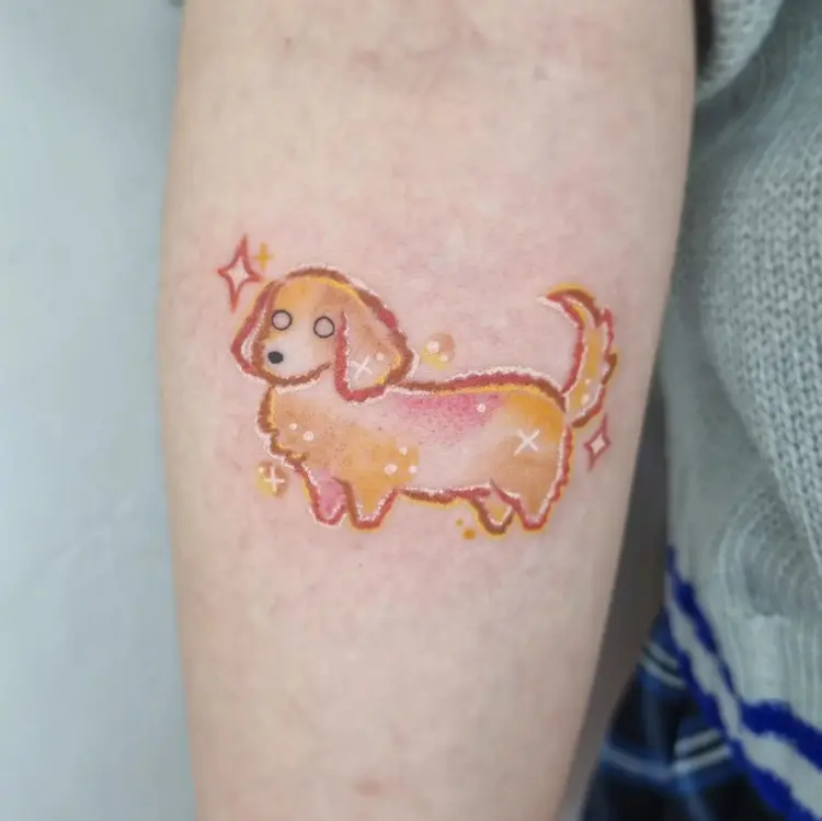 Animal
