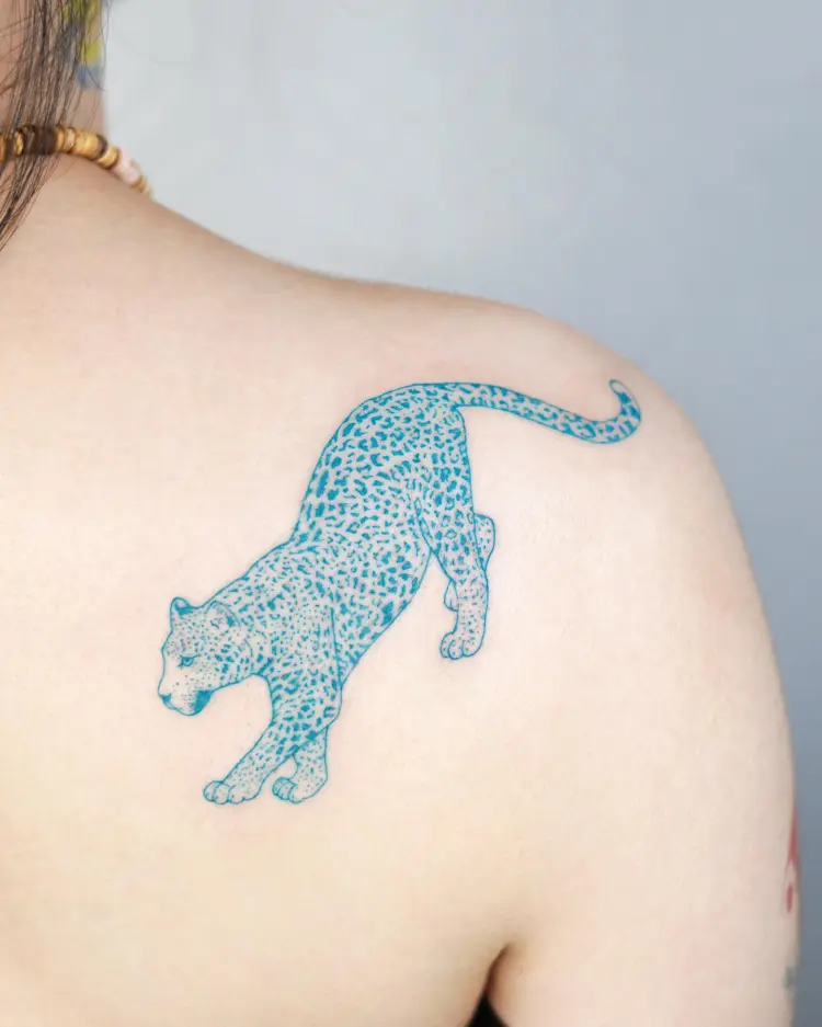 Animal, Tiger