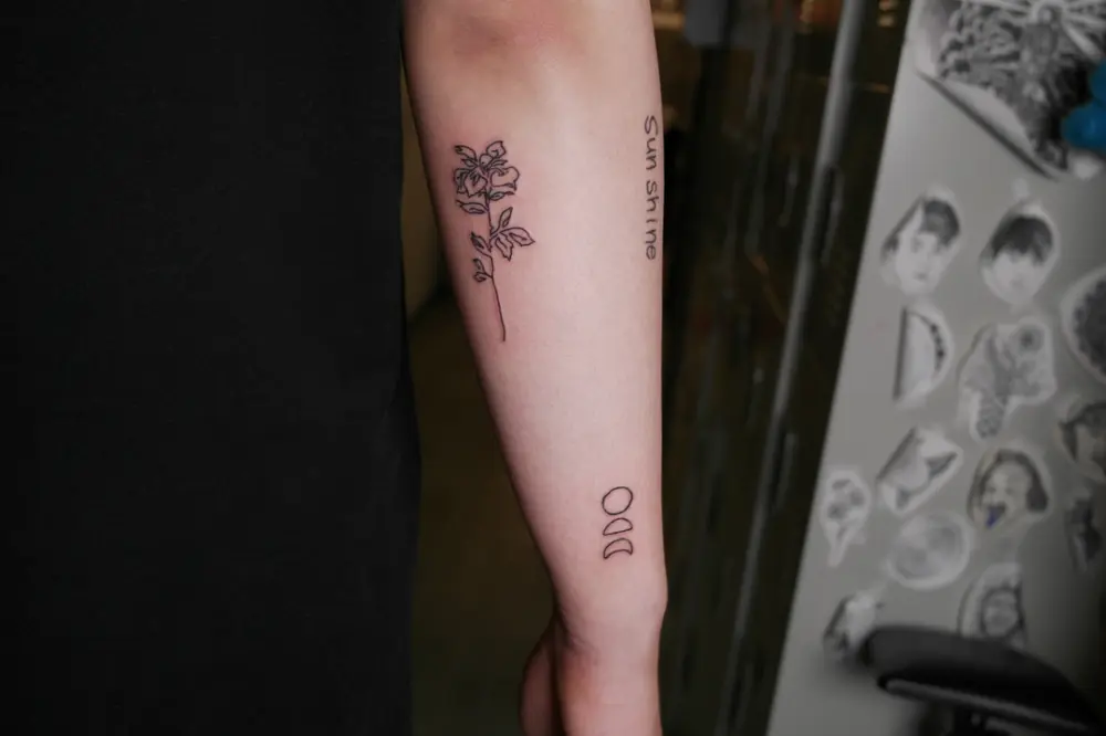 Flower, Rose