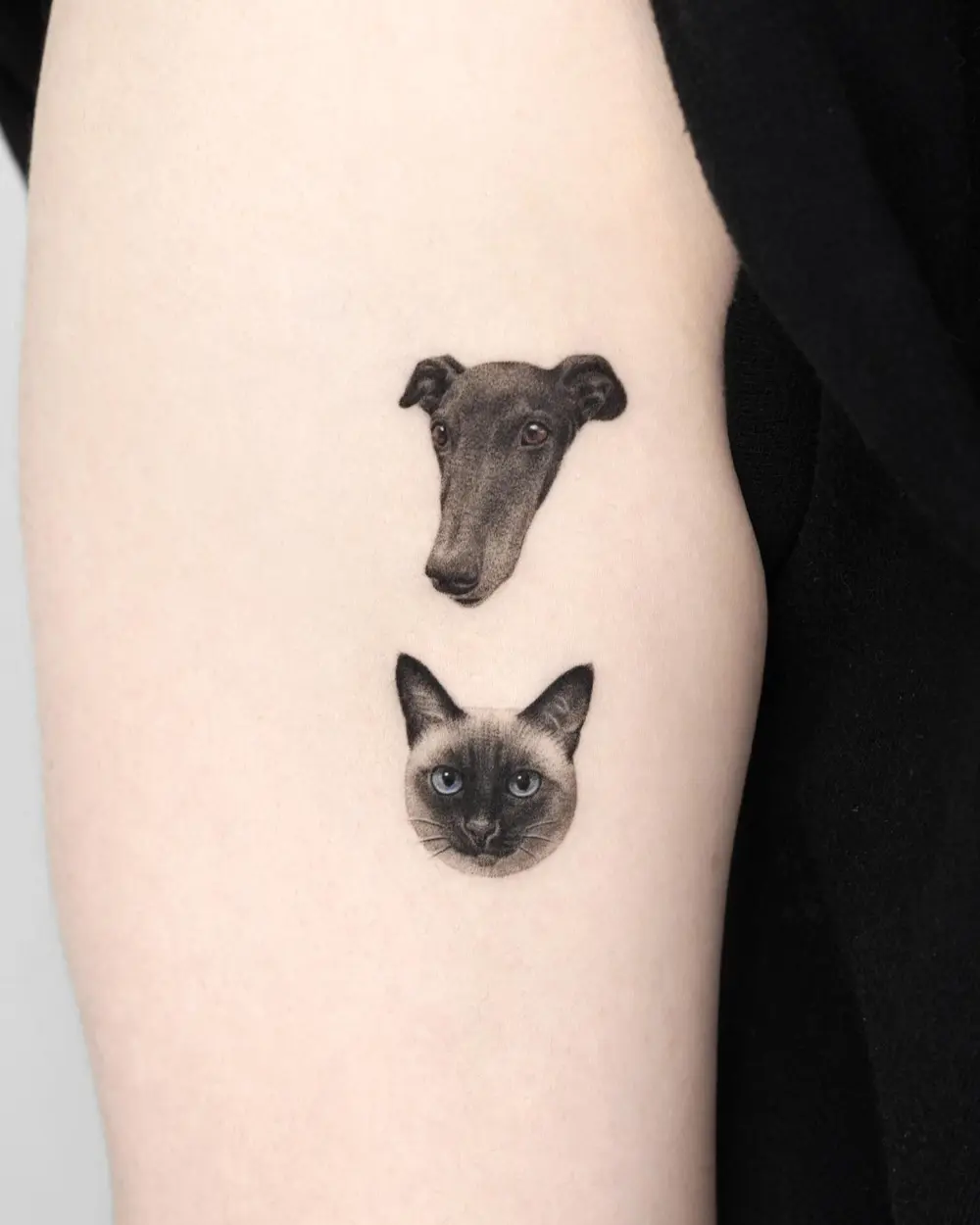 Animal