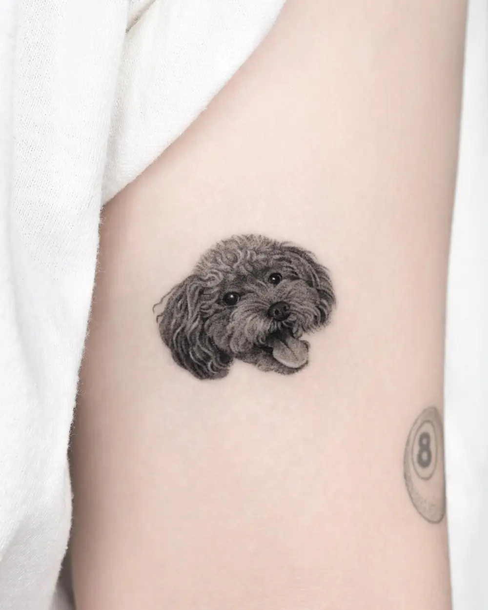 Animal, Mini