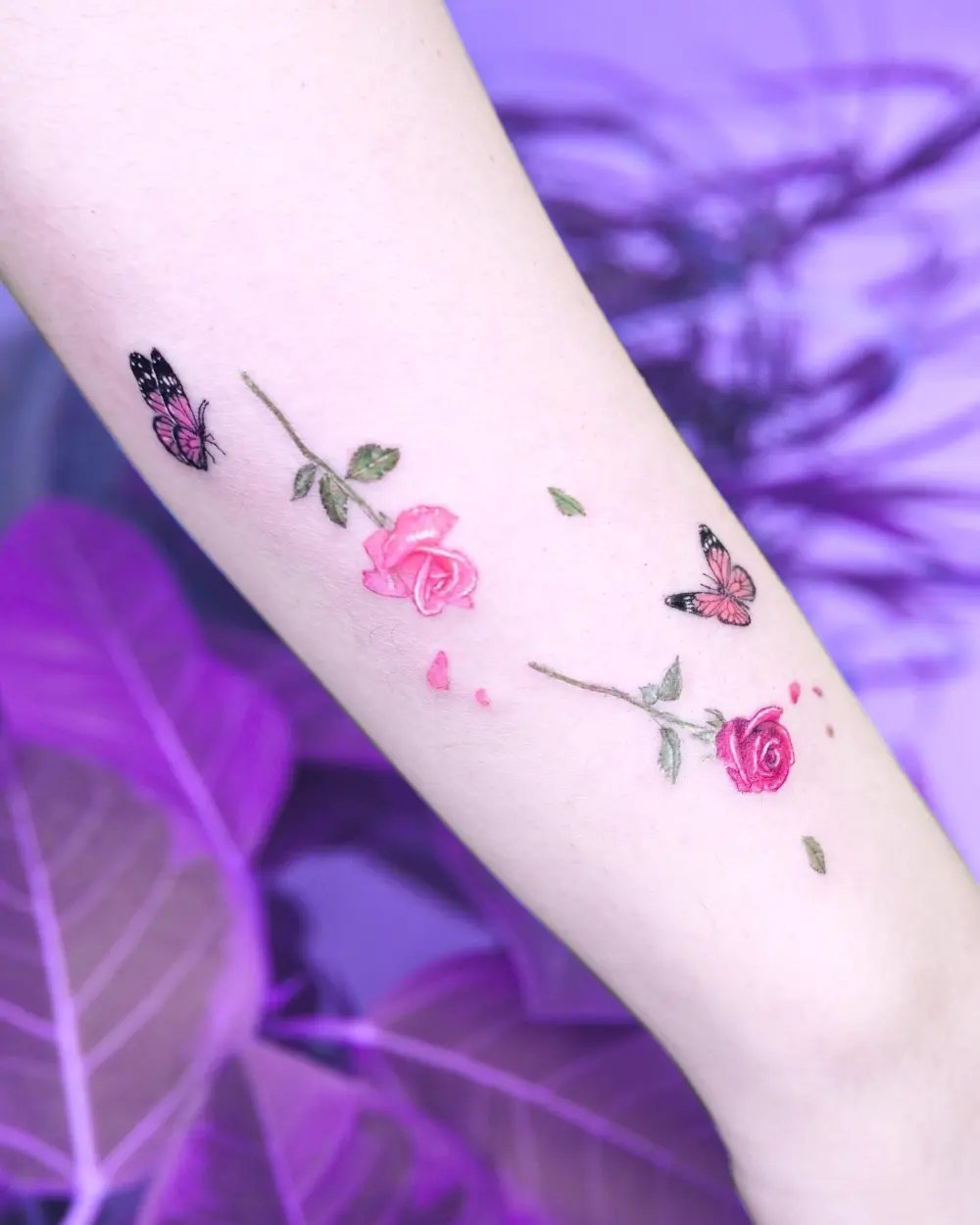 Animal, Flower, Rose