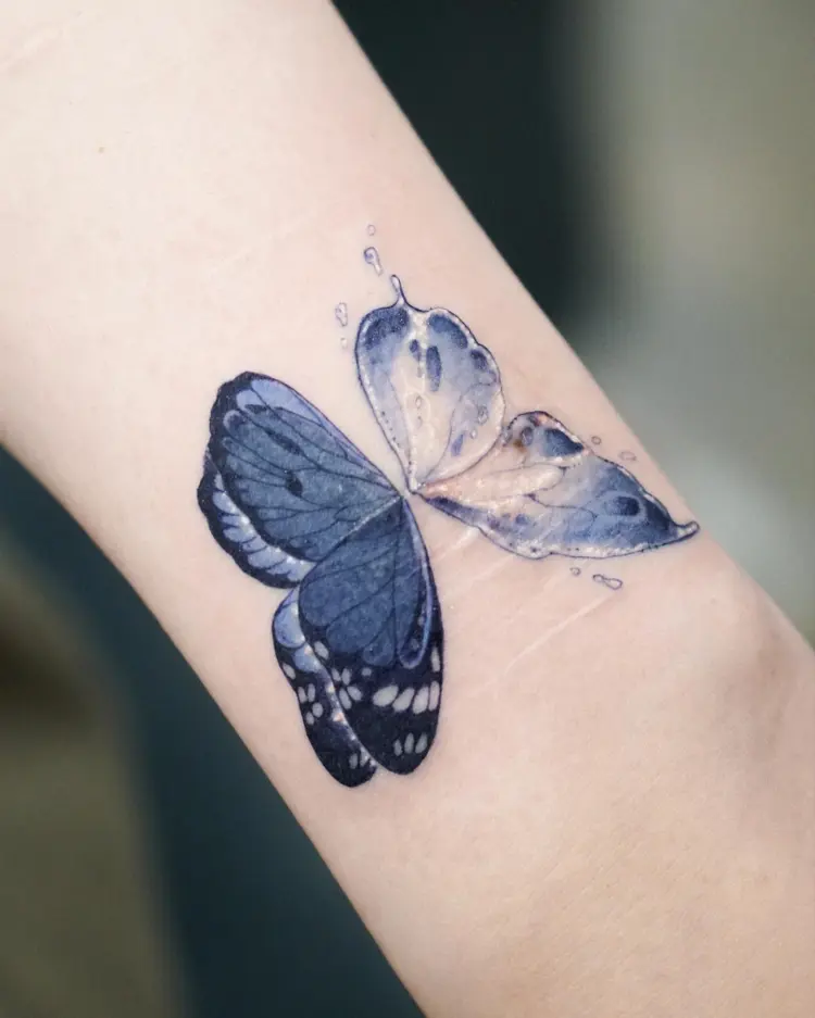 Animal, Nature