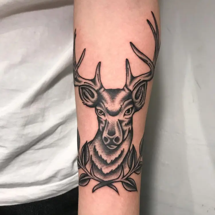 Nature, Animal
