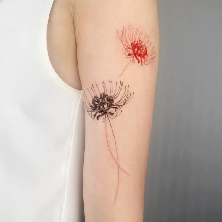Flower, Nature