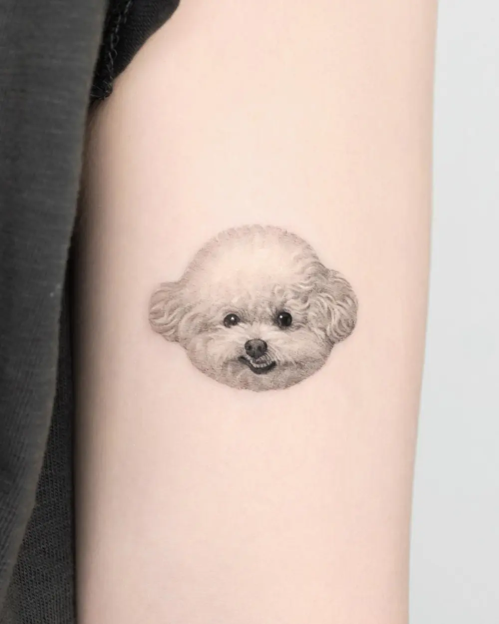 Animal, Mini