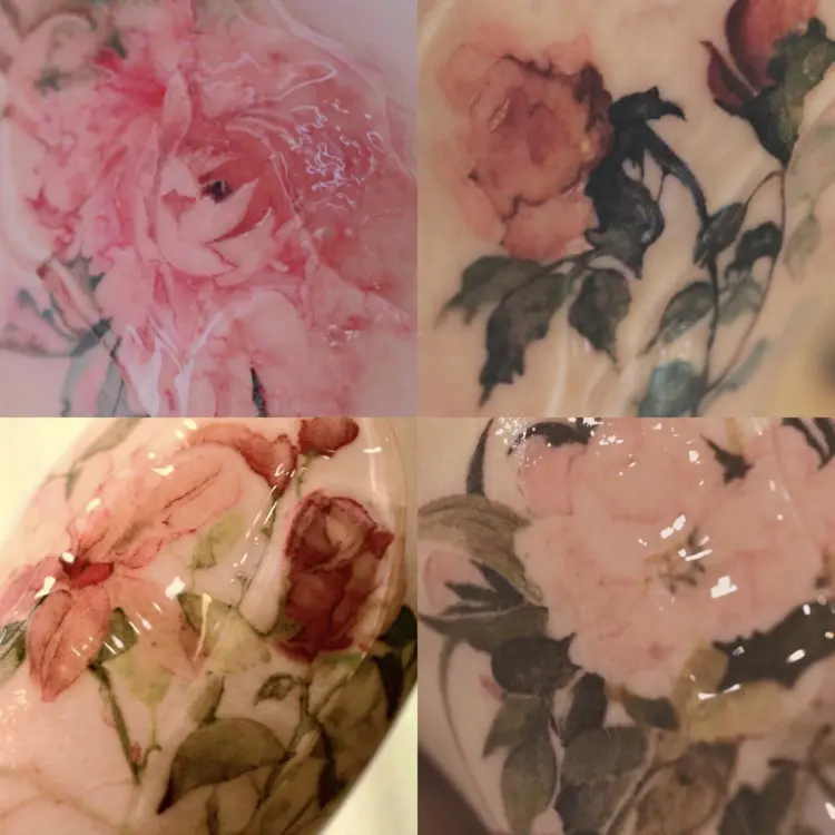 Nature, Flower, Rose