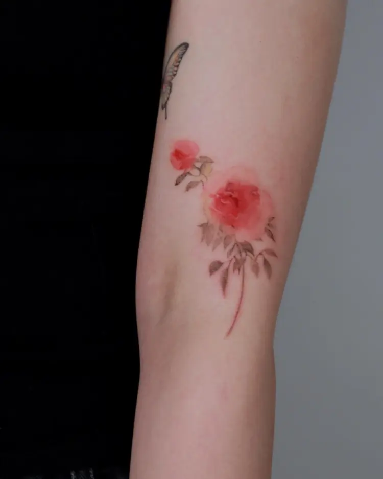 Flower, Rose