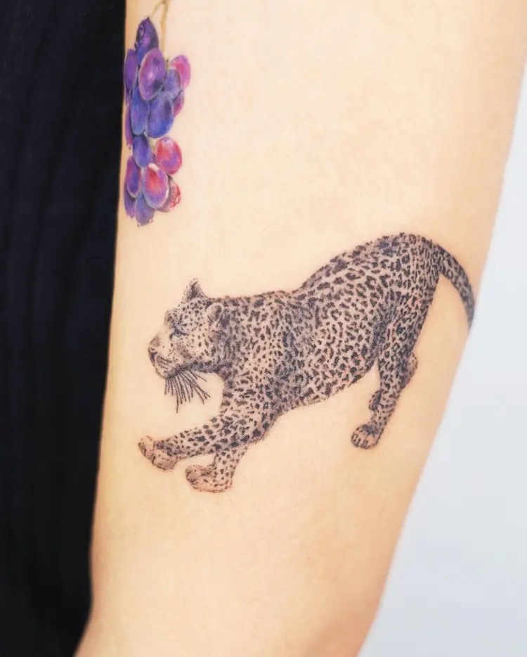 Animal, Tiger