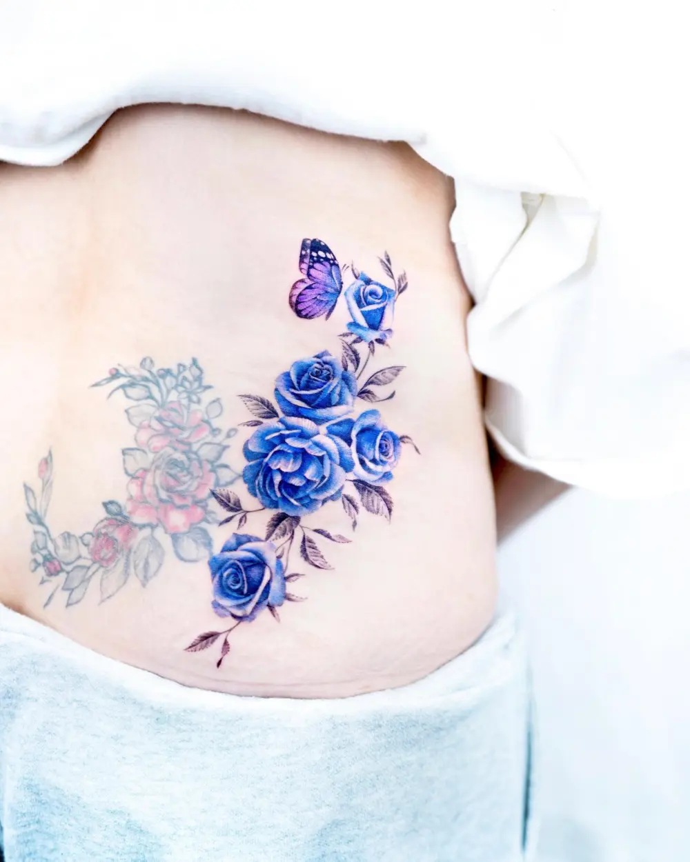 Rose, Animal, Flower