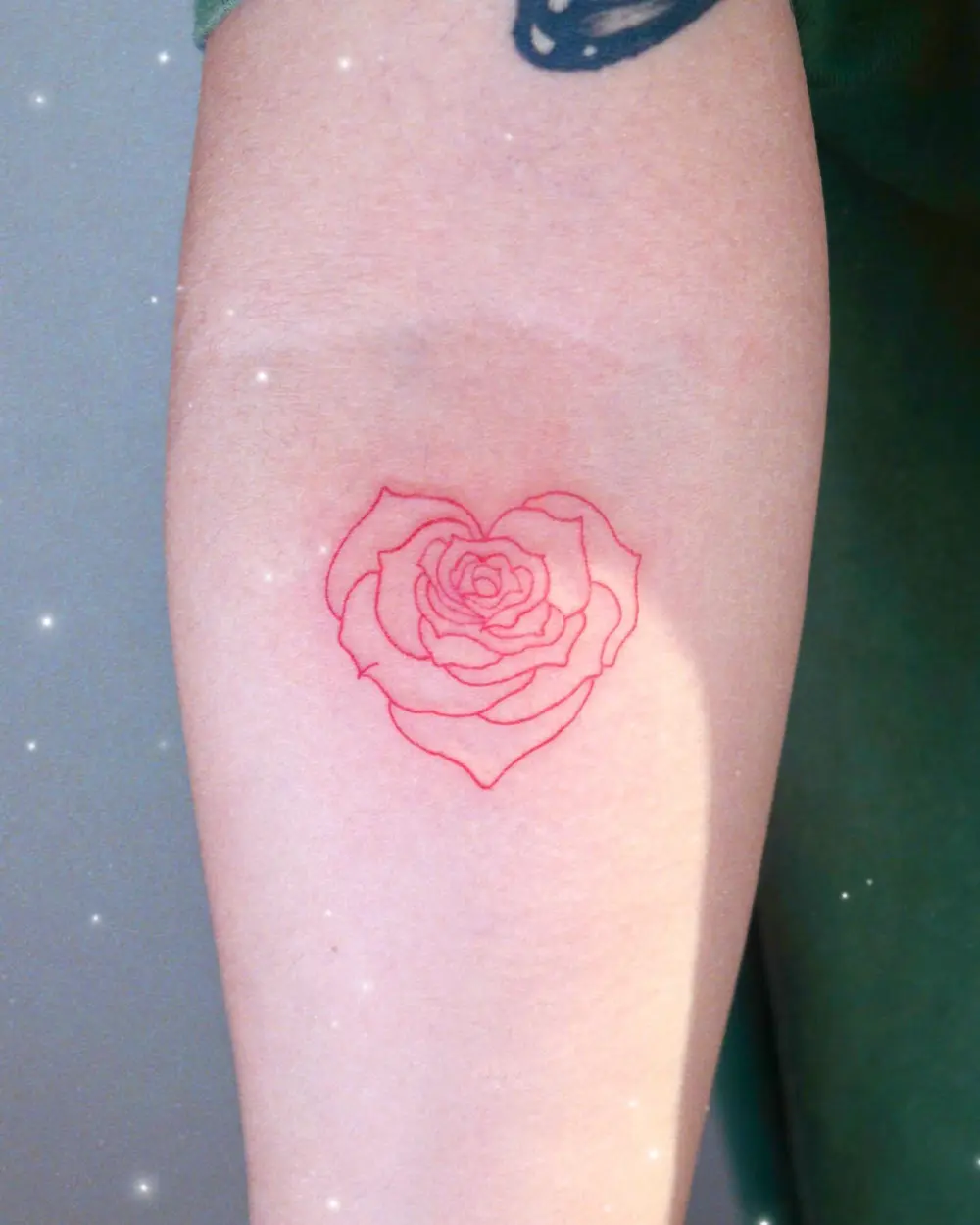 Flower, Rose