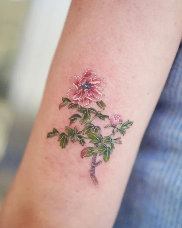 Flower, Rose, Nature