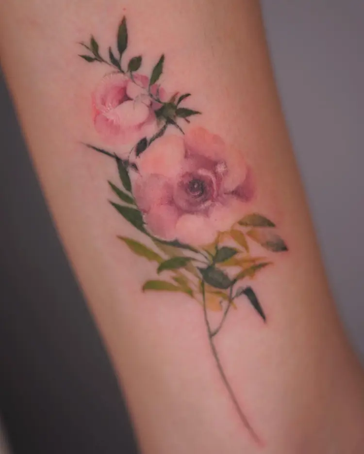 Flower, Rose