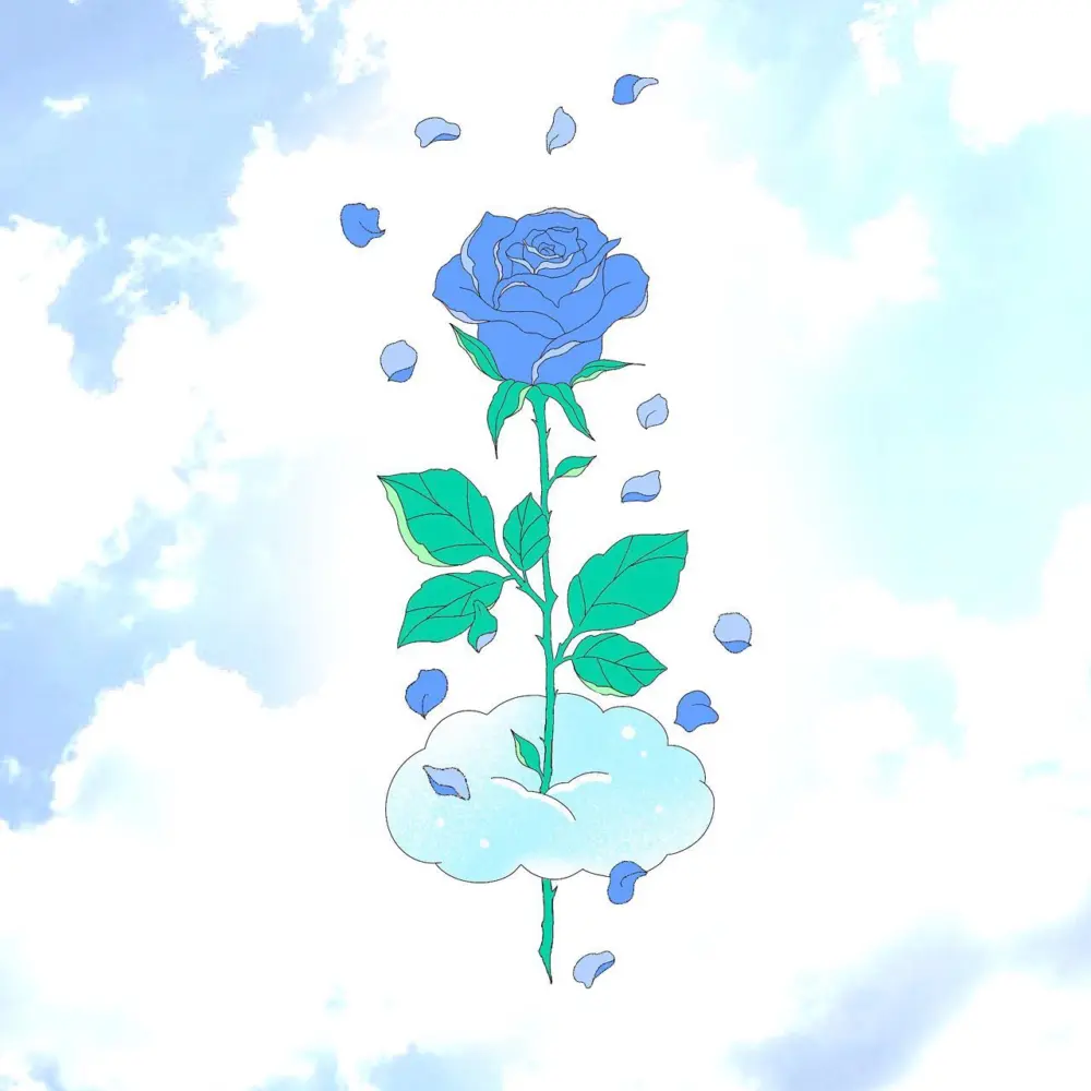 Nature, Flower, Rose