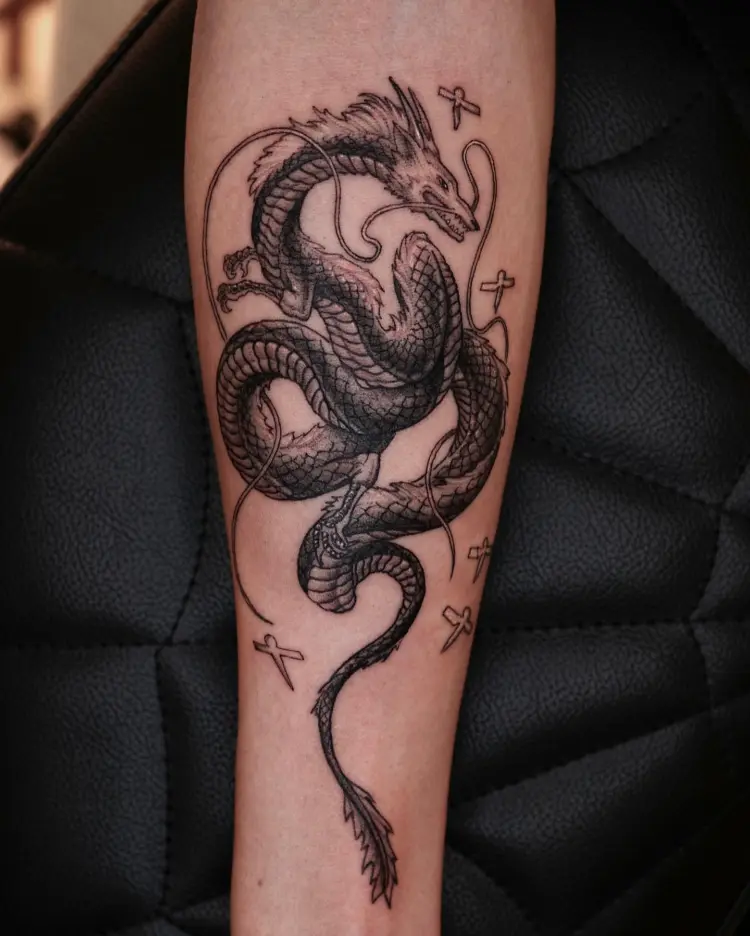 Dragon