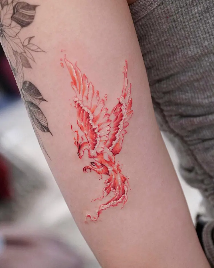 tattooist.inno