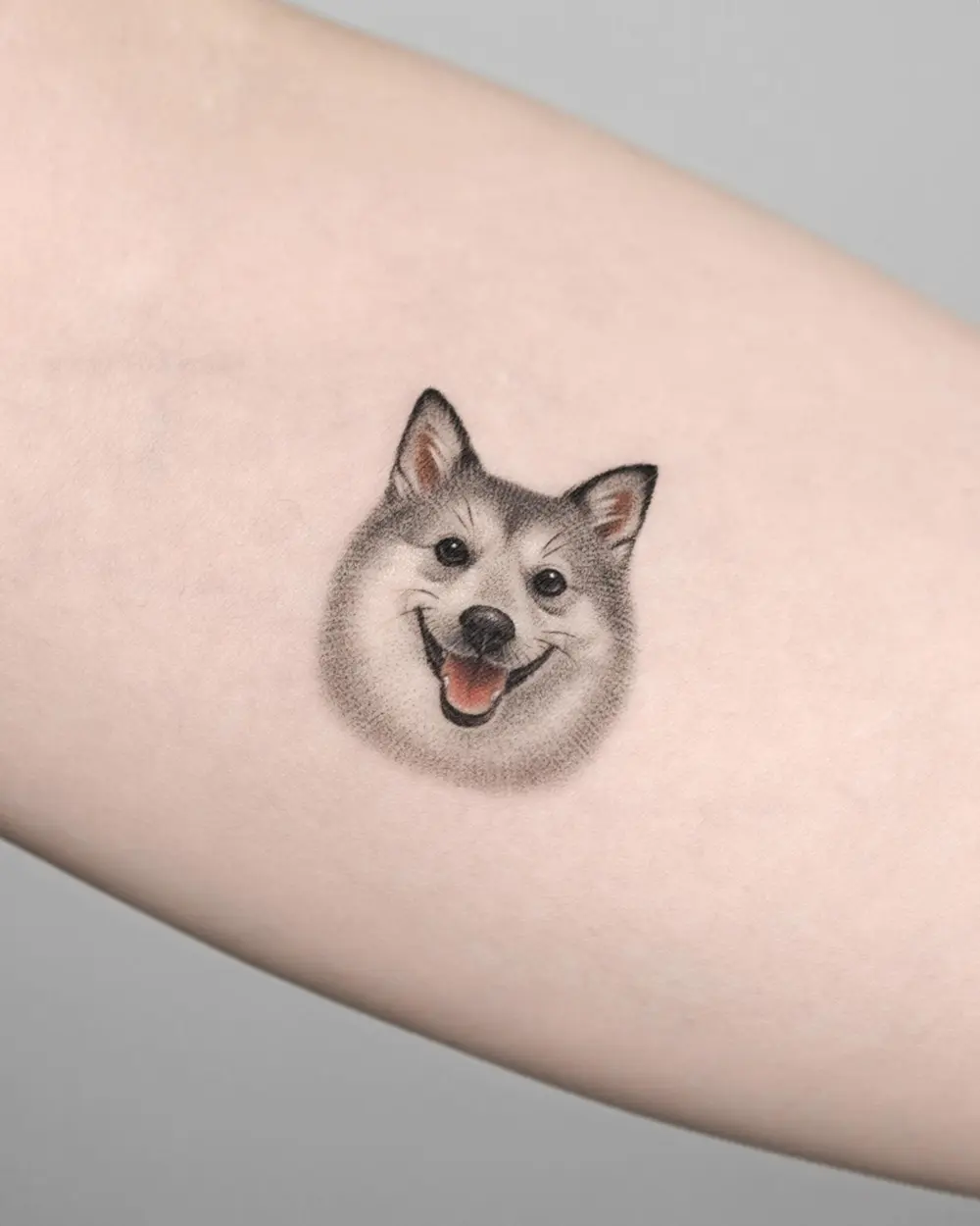 Animal