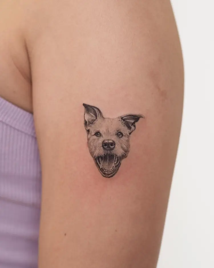 Animal