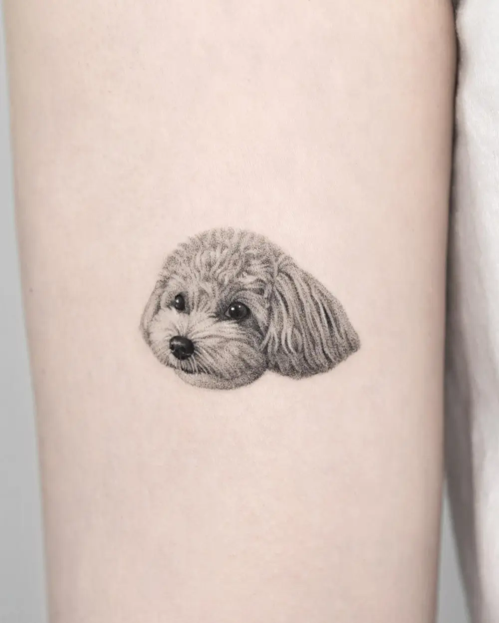 Animal, Mini