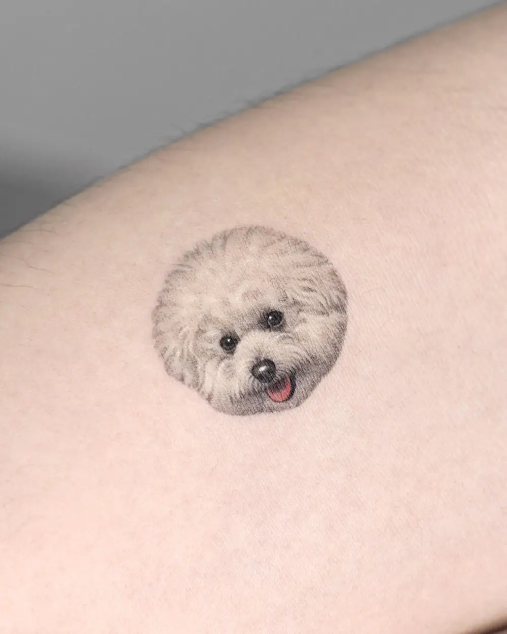 Animal, Mini