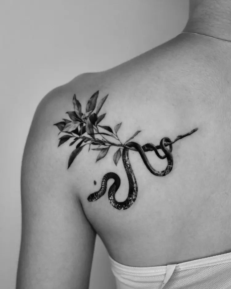 Nature, Snake