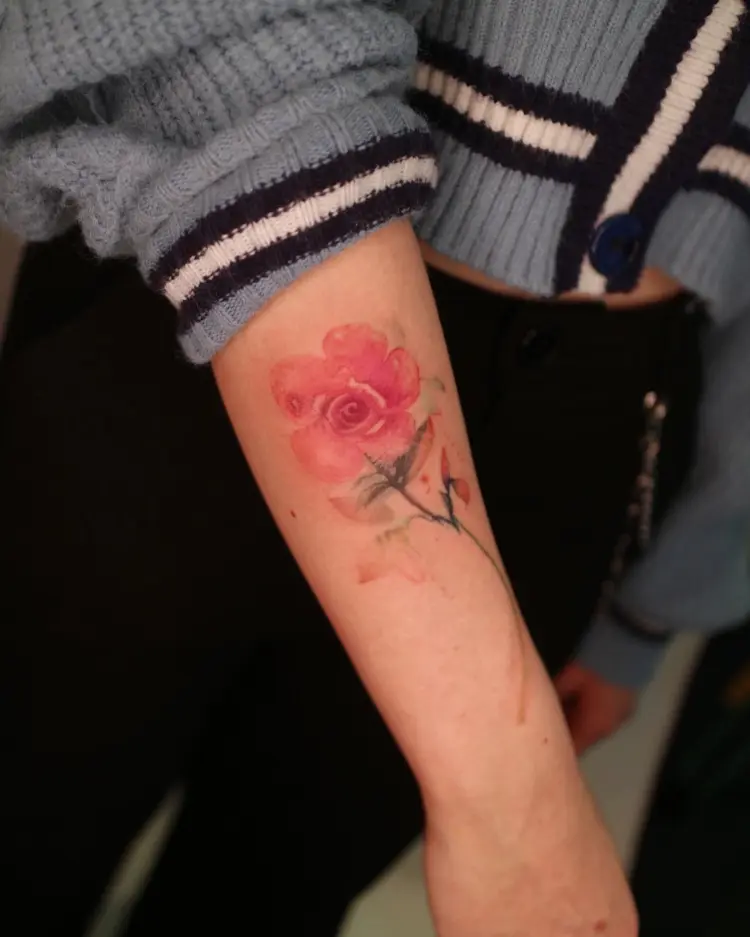 Flower, Rose