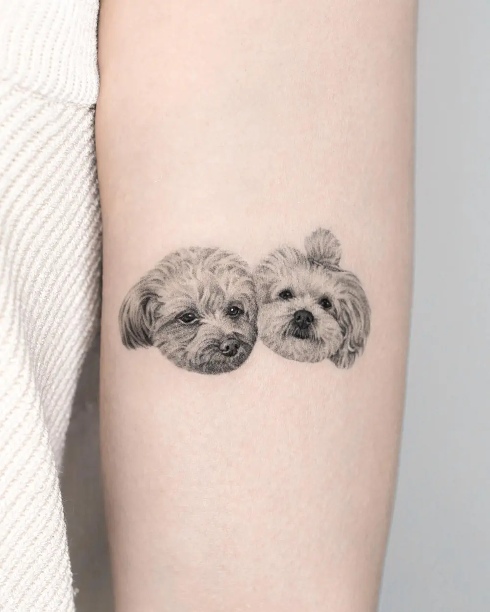 Animal, Mini
