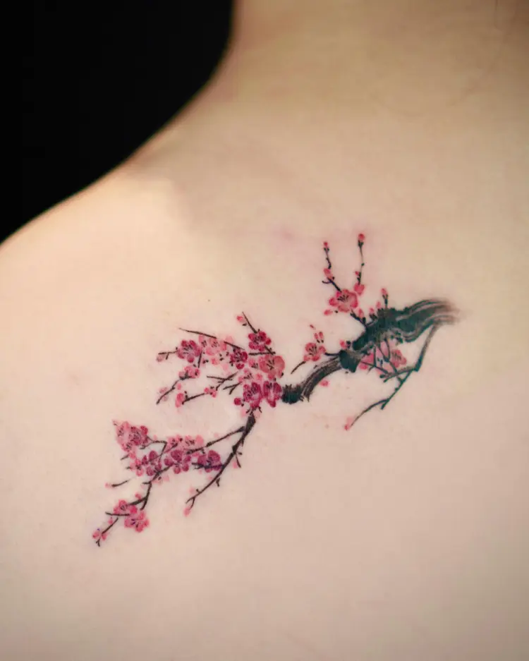 Flower, Nature, Animal