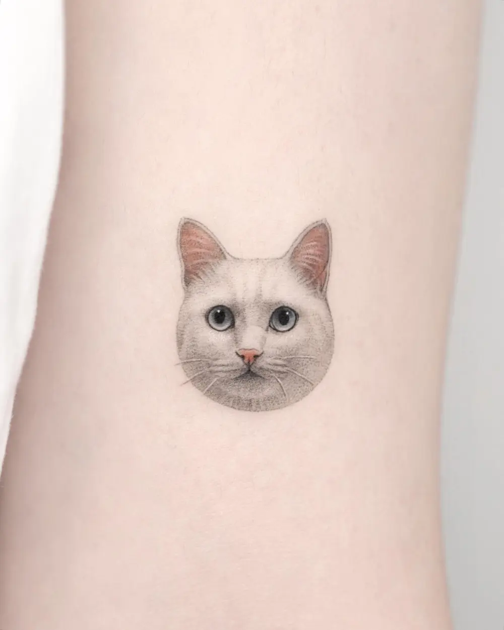 Animal