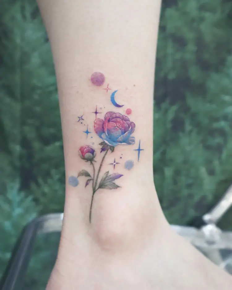 Rose, Nature, Flower